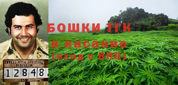 шишки Армянск