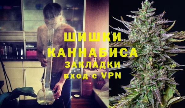 сатива Арсеньев