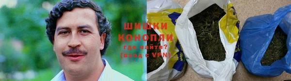 сатива Арсеньев